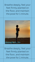 Load image into Gallery viewer, Lux Elevated Essentials Set
